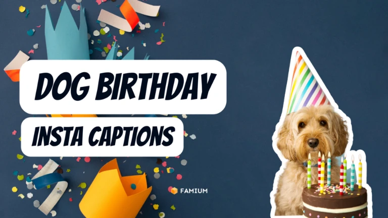 Dog Birthday Instagram Captions